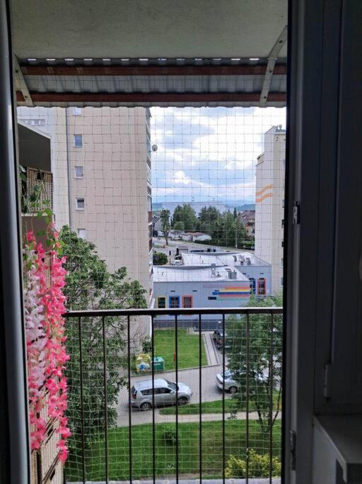 נובי טארג Apartament Na 4 Pietrze מראה חיצוני תמונה