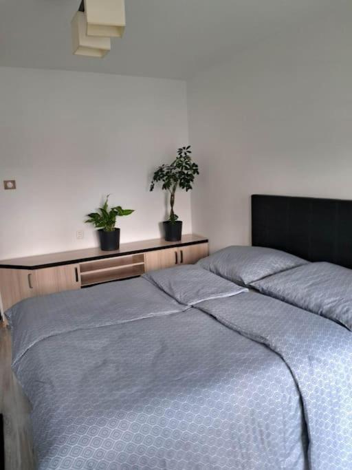 נובי טארג Apartament Na 4 Pietrze מראה חיצוני תמונה