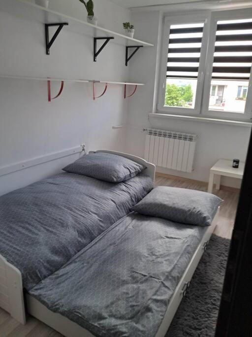 נובי טארג Apartament Na 4 Pietrze מראה חיצוני תמונה